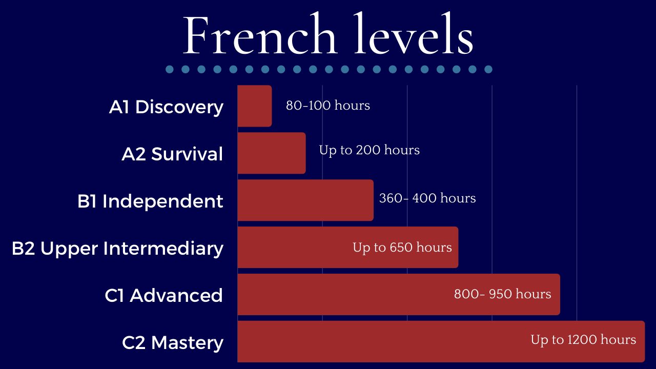 french-training-institute-in-uae-future-access-consultancy